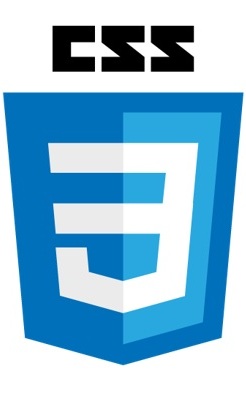 css logo